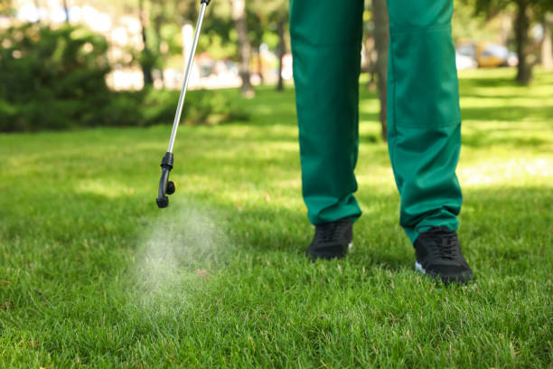 Wasp Removal Services in Porcupine, SD