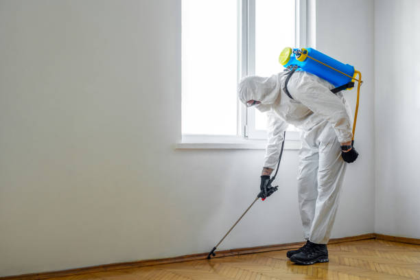Best Wildlife Control Services  in Porcupine, SD