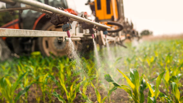 Best Best Pest Control Companies  in Porcupine, SD
